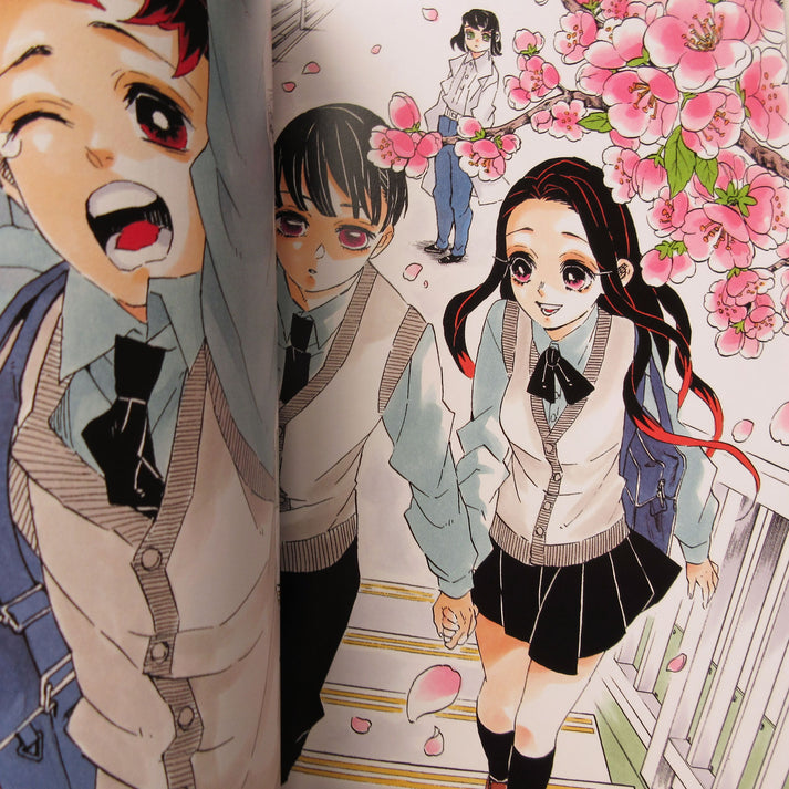 Demon Slayer / Kimetsu No Yaiba Official Artbook (En Stock)