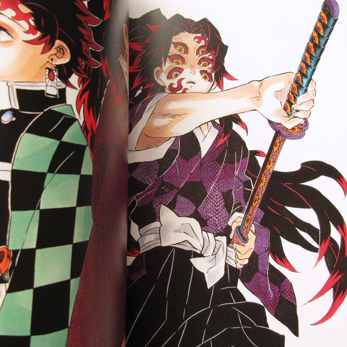 Demon Slayer / Kimetsu No Yaiba Official Artbook (En Stock)