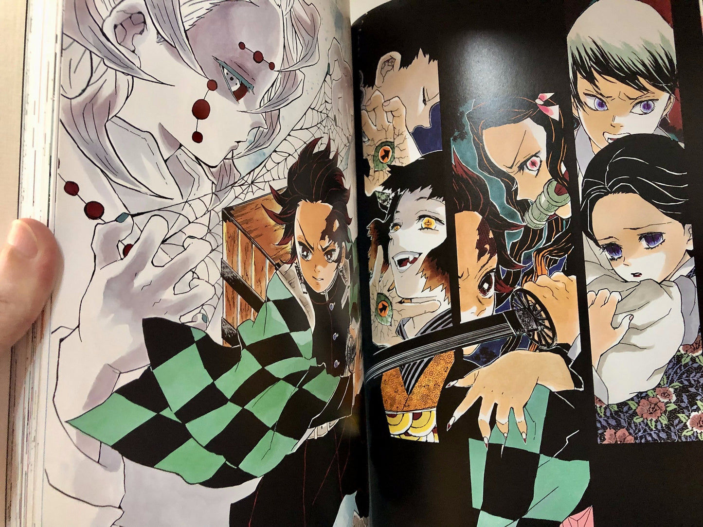 Demon Slayer / Kimetsu No Yaiba Official Artbook (En Stock)