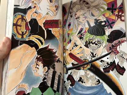 Demon Slayer / Kimetsu No Yaiba Official Artbook (En Stock)