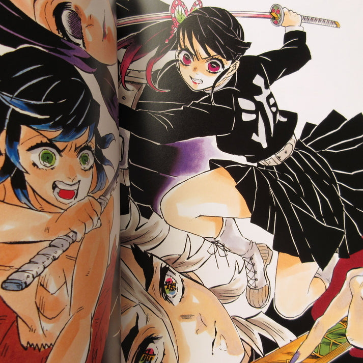 Demon Slayer / Kimetsu No Yaiba Official Artbook (En Stock)